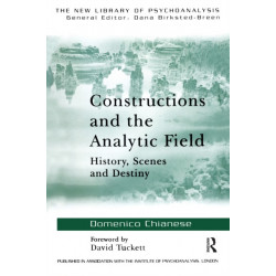 Constructions and the Analytic Field: History, Scenes and Destiny