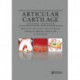 Articular Cartilage