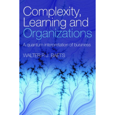 Complexity, Learning and Organizations: A Quantum Interpretation of Business