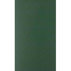 Chapters in the History of British Journalism