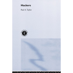 Hackers: Crime and the Digital Sublime
