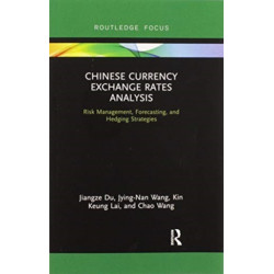 Chinese Currency Exchange Rates Analysis: Risk Management, Forecasting and Hedging Strategies