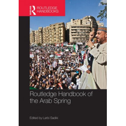 Routledge Handbook of the Arab Spring: Rethinking Democratization