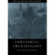 Industrial Archaeology: Principles and Practice