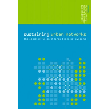 Sustaining Urban Networks: The Social Diffusion of Large Technical Systems