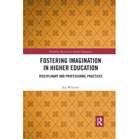 Fostering Imagination in Higher Education: Disciplinary and Professional Practices