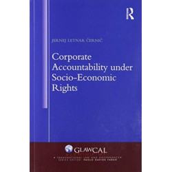 Corporate Accountability under Socio-Economic Rights