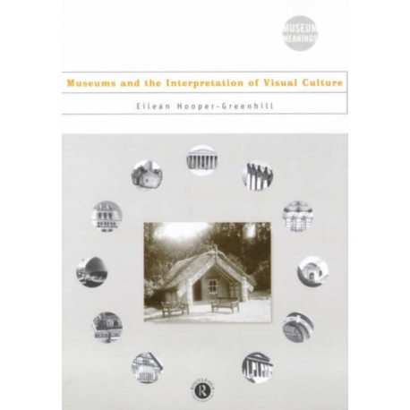 Museums and the Interpretation of Visual Culture