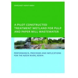 A Pilot Constructed Treatment Wetland for Pulp and Paper Mill Wastewater: Performance, Processes and Implications for the Nzoia River, Kenya, UNESCO-IHE PhD