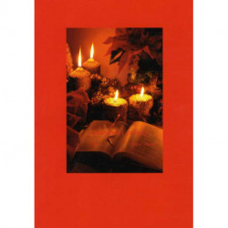 Christmas Stories for Everybody