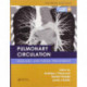 Pulmonary Circulation: Diseases and Their Treatment, Fourth Edition