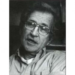 Noam Chomsky: Critical Assessments
