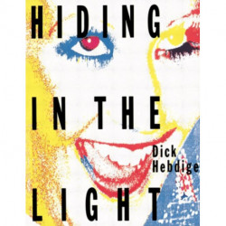 Hiding in the Light: On Images and Things