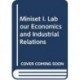 Miniset I. Labour Economics and Industrial Relations