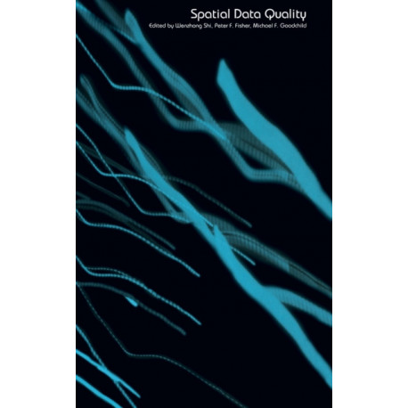 Spatial Data Quality