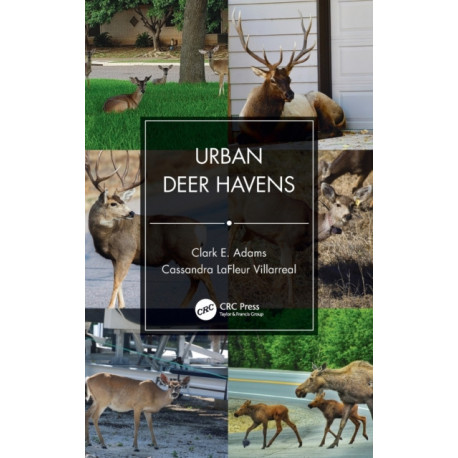 Urban Deer Havens
