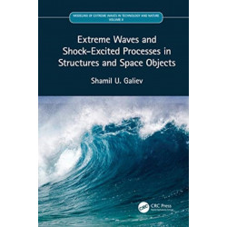 Extreme Waves and Shock-Excited Processes in Structures and Space Objects: Volume II