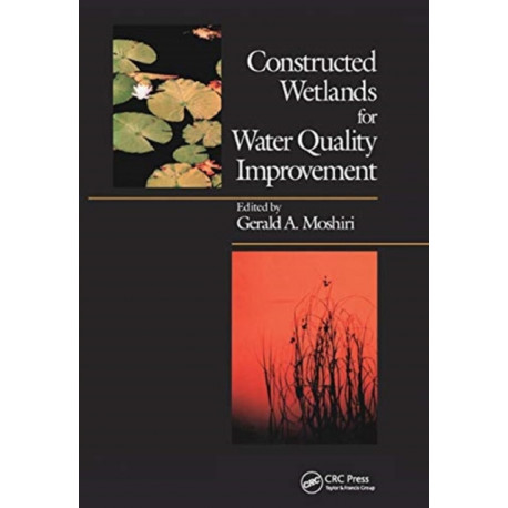 Constructed Wetlands for Water Quality Improvement