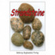 Strandsteine