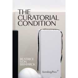 The Curatorial Condition