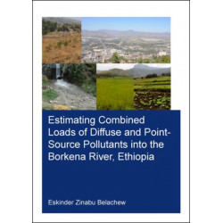 Estimating Combined Loads of Diffuse and Point-Source Pollutants Into the Borkena River, Ethiopia