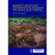 Property Rights and Governance in Artisanal and Small-Scale Mining: Critical Approaches