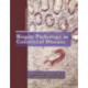 Biopsy Pathology in Colorectal Disease, 2Ed