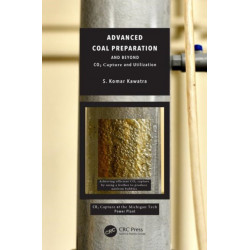 Advanced Coal Preparation and Beyond: CO2 Capture and Utilization