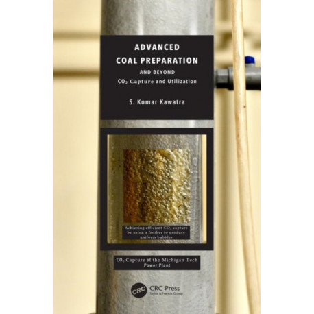 Advanced Coal Preparation and Beyond: CO2 Capture and Utilization