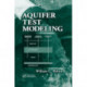 Aquifer Test Modeling