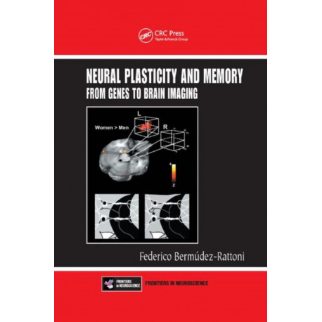 Neural Plasticity and Memory: From Genes to Brain Imaging