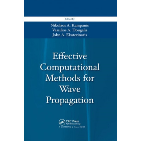 Effective Computational Methods for Wave Propagation