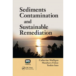 Sediments Contamination and Sustainable Remediation