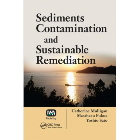 Sediments Contamination and Sustainable Remediation