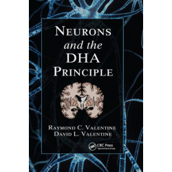 Neurons and the DHA Principle