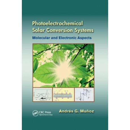Photoelectrochemical Solar Conversion Systems: Molecular and Electronic Aspects