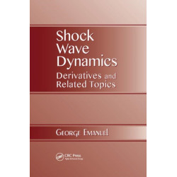 Shock Wave Dynamics: Derivatives and Related Topics