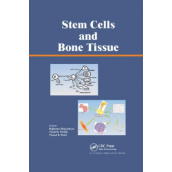 Stem Cells and Bone Tissue