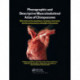 Photographic and Descriptive Musculoskeletal Atlas of Chimpanzees: With Notes on the Attachments, Variations, Innervation, Function and Synonymy and Weight of the Muscles