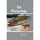 Eel Physiology