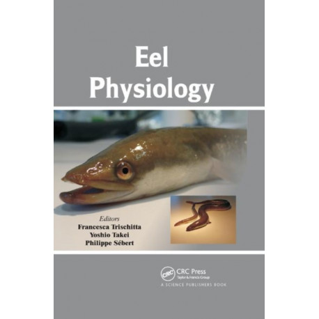 Eel Physiology