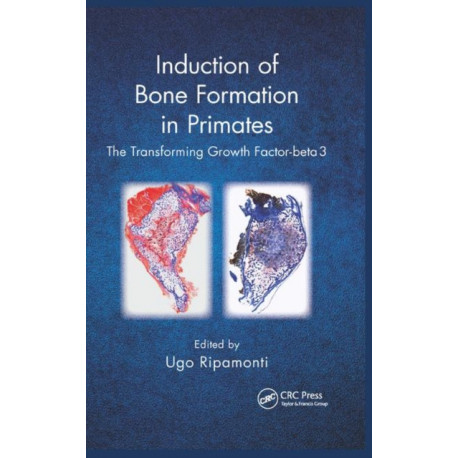 Induction of Bone Formation in Primates: The Transforming Growth Factor-beta 3