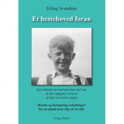 Et hestehoved foran