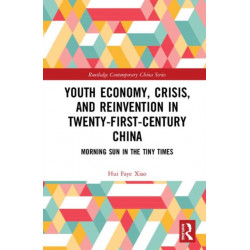Youth Economy, Crisis, and Reinvention in Twenty-First-Century China: Morning Sun in the Tiny Times