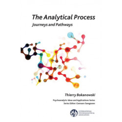 The Analytical Process: Journeys and Pathways
