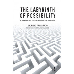 The Labyrinth of Possibility: A Therapeutic Factor in Analytical Practice