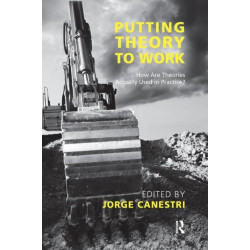 Putting Theory to Work: How are Theories Actually Used in Practice?