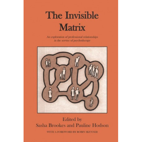 The Invisible Matrix: An Exploration of Professional Relationships in the Service of Psychotherapy