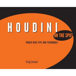 Houdini On the Spot: Power User Tips and Techniques