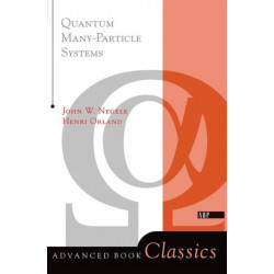 Quantum Many-particle Systems